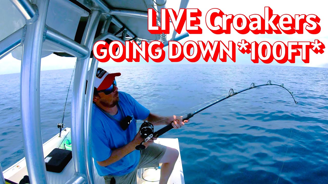 Red Snapper 2025 Opener | ENTIRE Day Fishing *22* Miles Offshore |17FT Cape Horn!