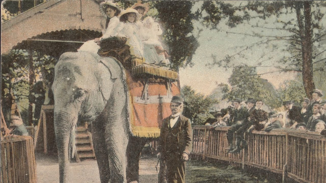Mystery Box: 19th century keys to the Melbourne Zoo