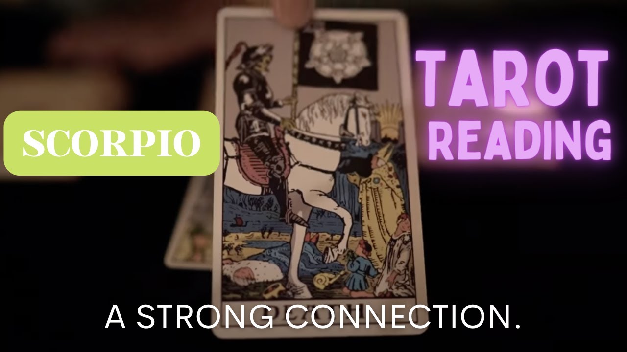 Scorpio Why fight this connection? July Tarot Reading Tarot After Dark