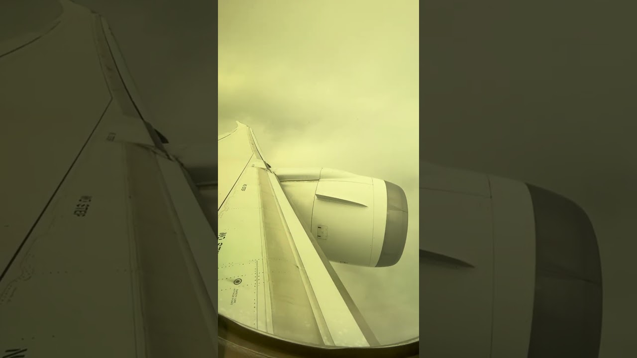 [17분] 대한항공 B787-9 겨울아침 인천공항 착륙