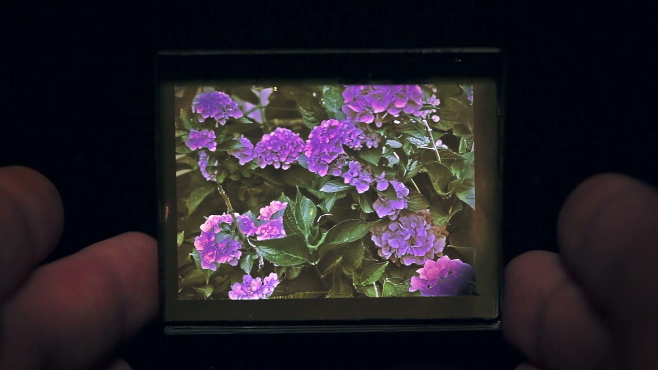 Lippmann Plates Vol. 3