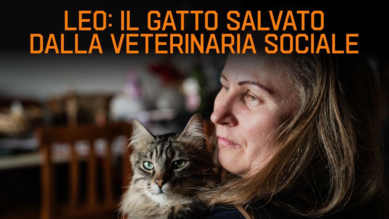 Rischiava che gli amputassero le zampe: la storia di Leo e della nostra veterinaria sociale!
