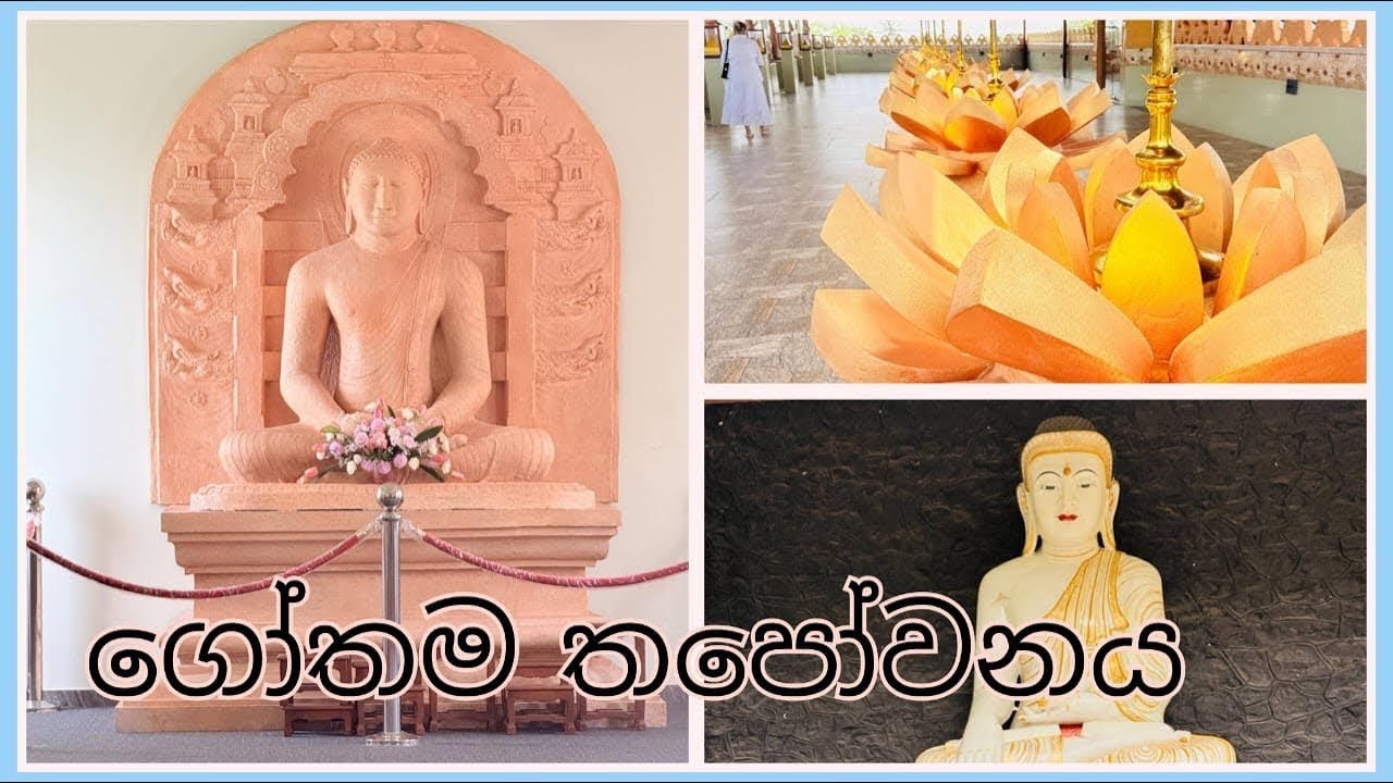 ගෝතම තපෝවනය 🌿 | Hidden Peace in Colombo #Sri Lanka Travel