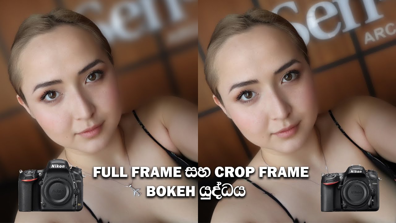ෆුල් ෆ්‍රේම් සහ කොරොප් ෆ්‍රේම් Bokeh යුද්ධය - Full Frame Vs Crop Frame Bokeh War in Sinhala