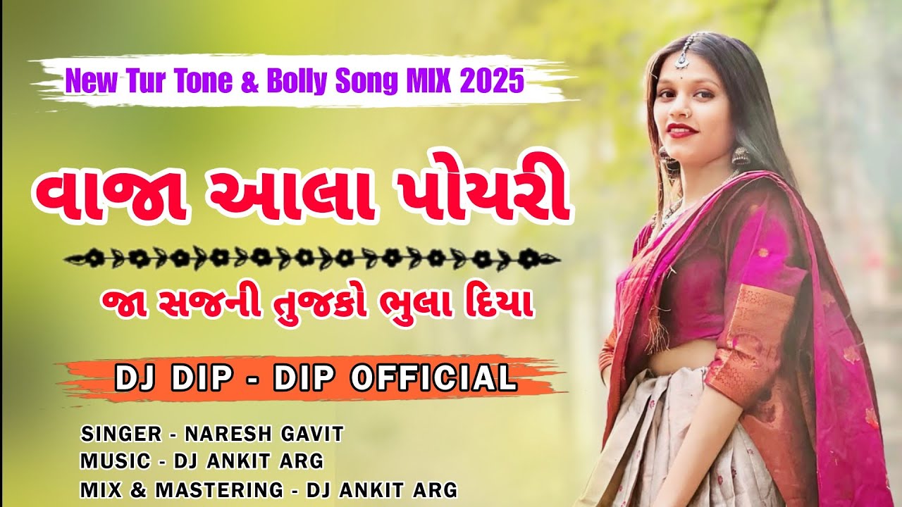 Vaja Aala Poyri & Jaa Sajni Tujko Bhula Diya | New Bolly Song Mix 2025 | Dj Dip - Dip Official