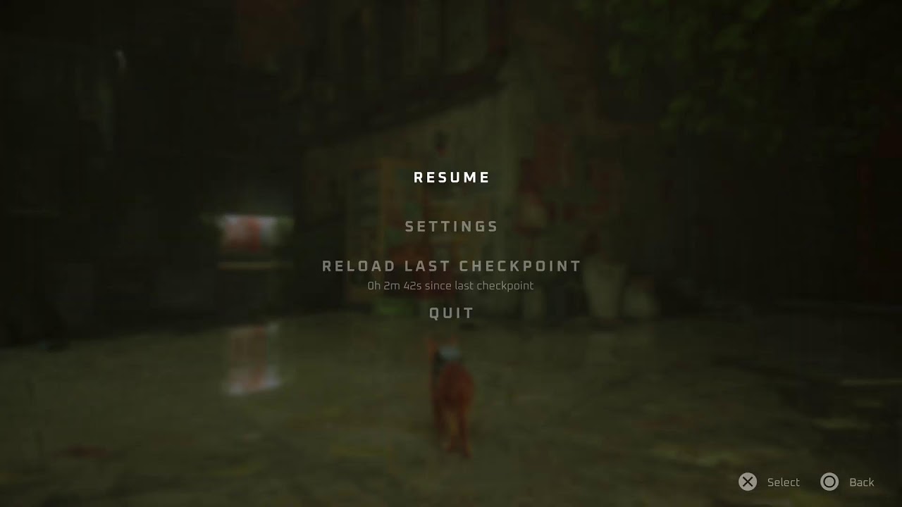 STRAY Playthrough