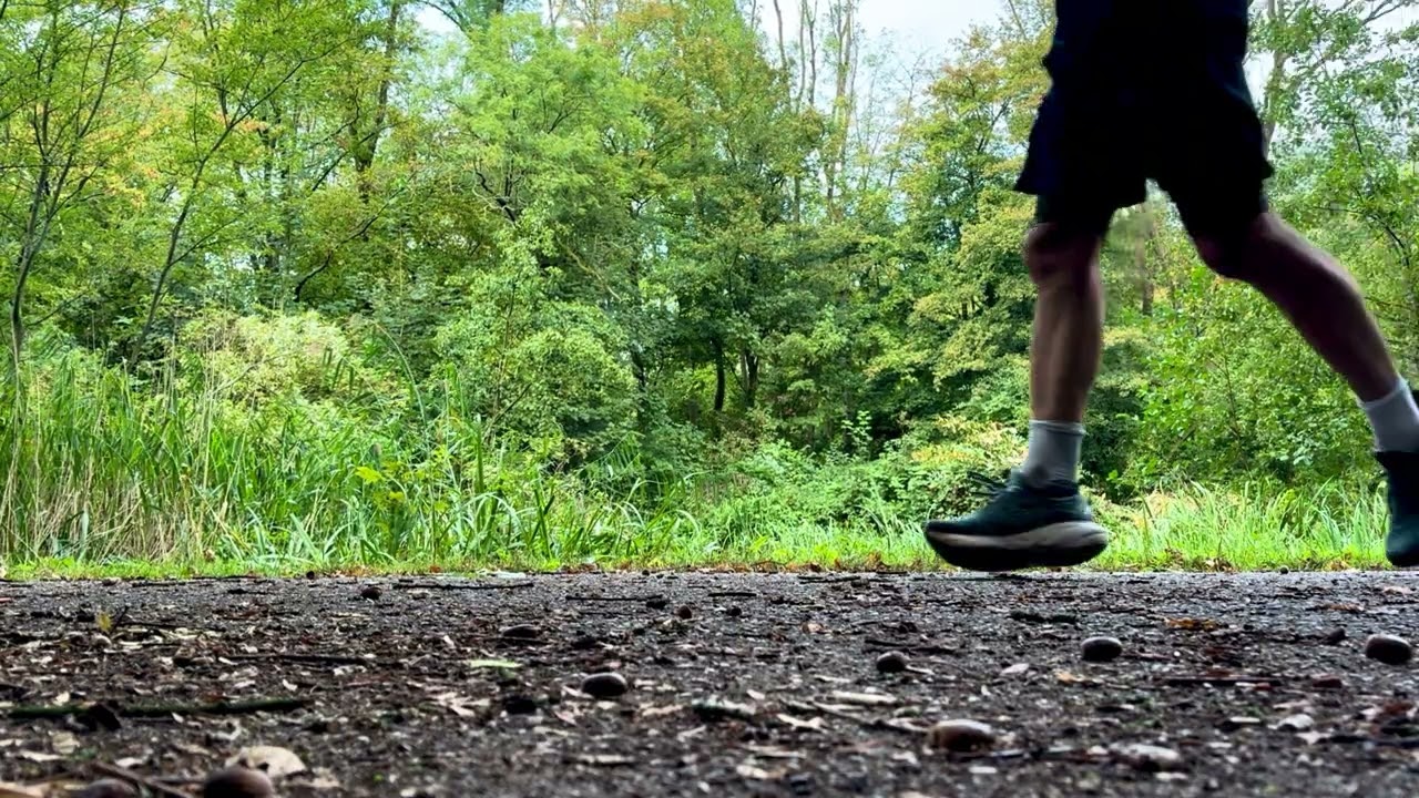 HD Kralingen Park Ambience - Rotterdam Nature View (Real Sounds Only)
