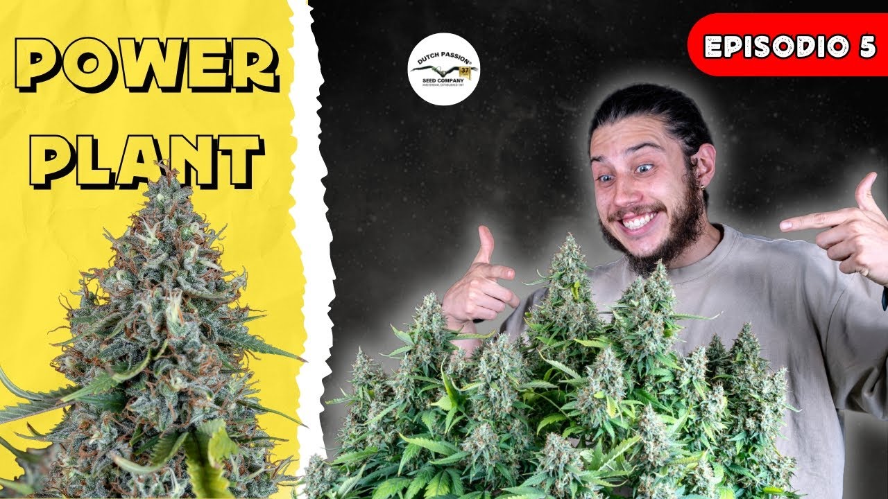T1-E5: POWER PLANT - DUTCH PASSION | FLORANDO EN FUMILIA