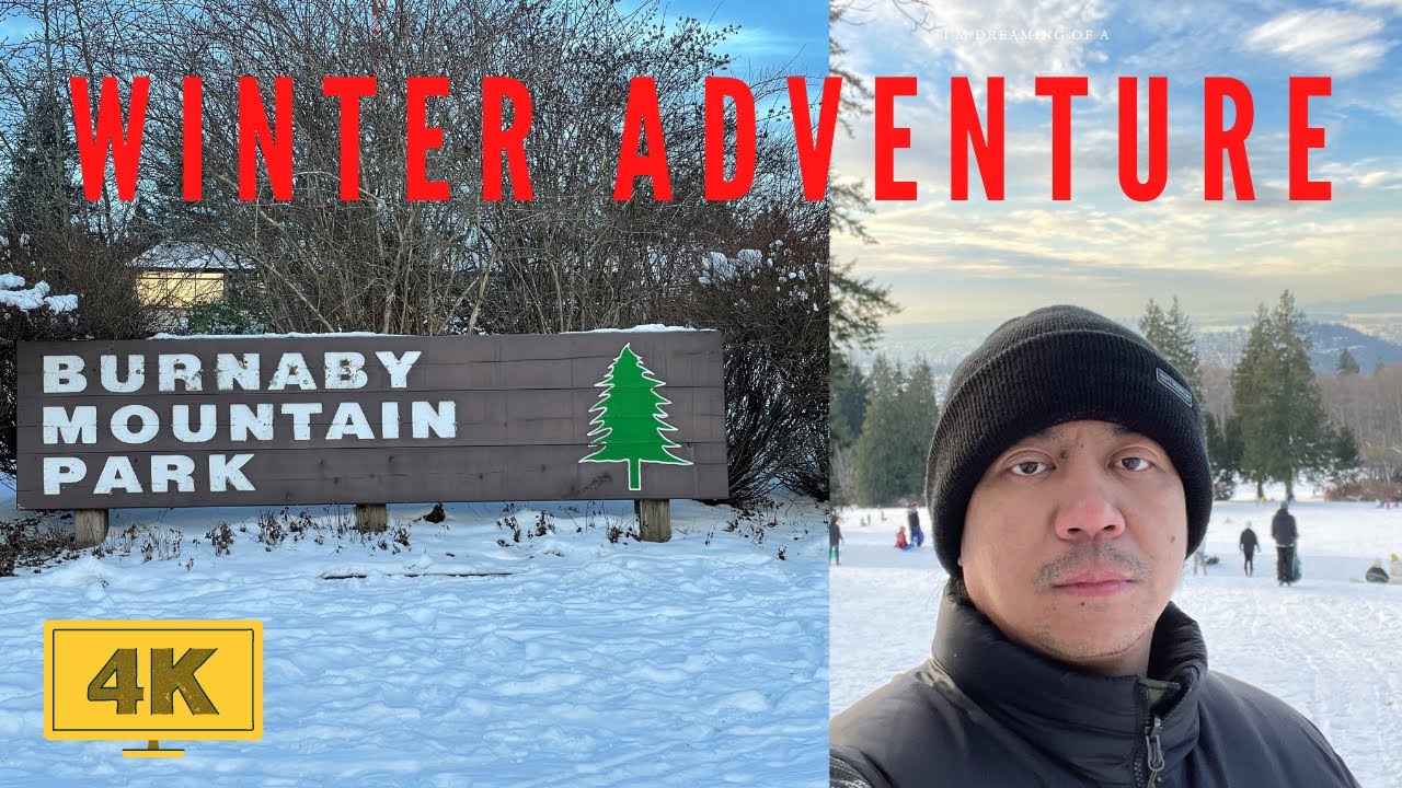 starting winter 2021 Burnaby mountain view(4k)