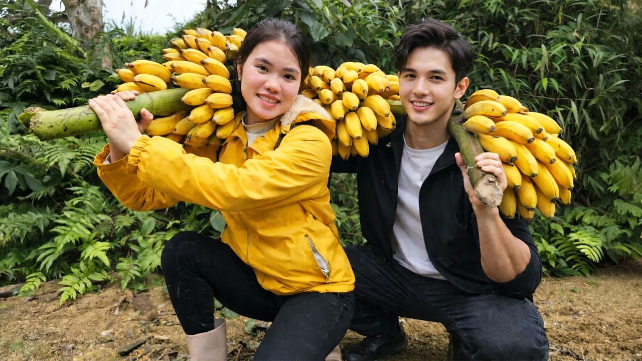 Harvesting Bananas To Sell At The Market – Taking Care Of My Family