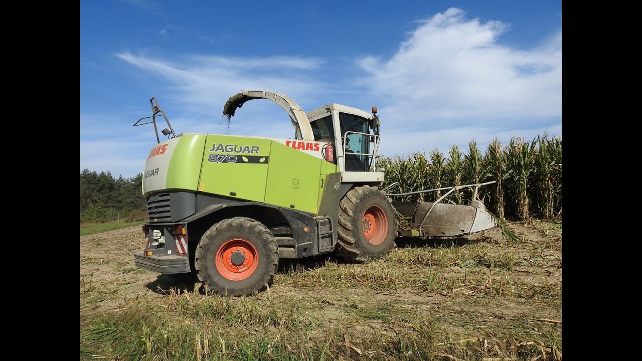 Claas Jaguar 870 - zbiór kukurydzy 2020