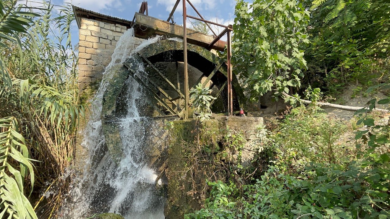 Bir çox xəstəliklərin dəyirmanı Göyçayda