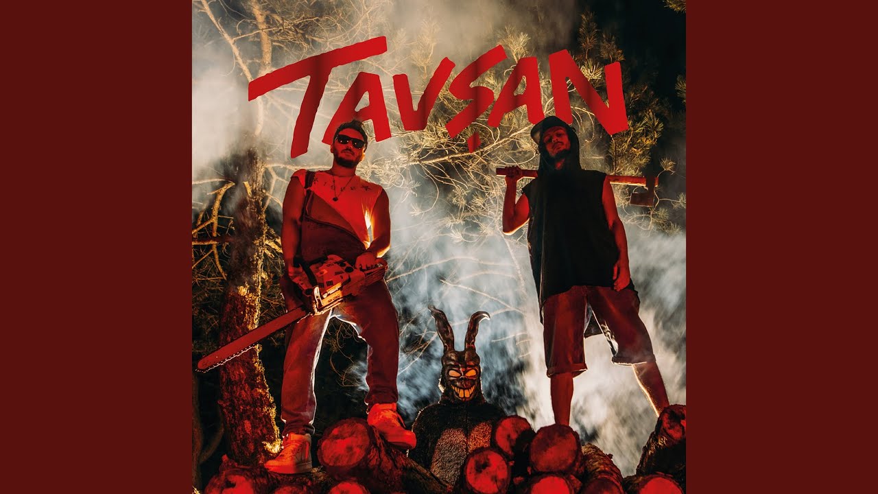 Tavşan