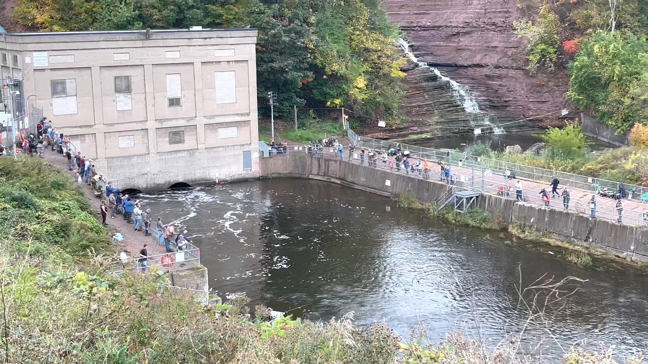 OAK ORCHARD SALMON FISHING (Rain on the way!) Waterport Dam October 15, 2021