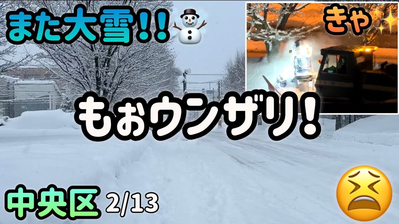 またドカ雪☃️吹雪！湿った雪が一気に積もった！歩道の除雪が〜あぁ、、、
