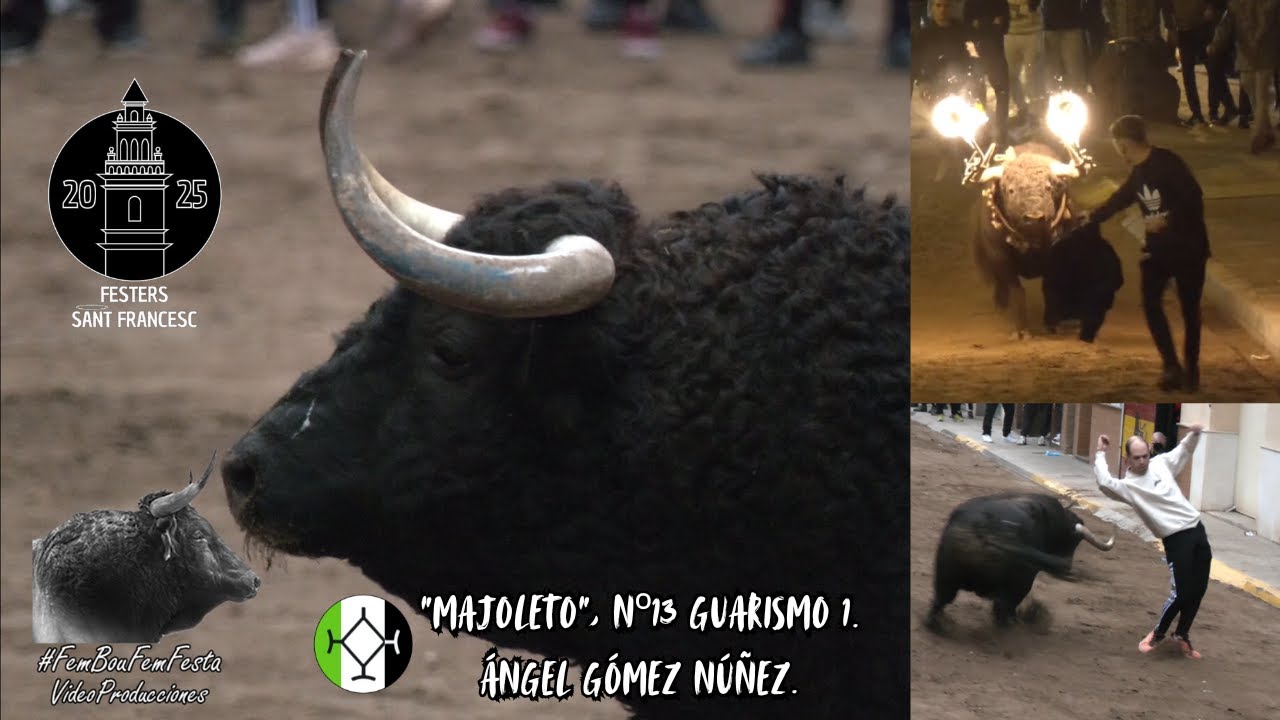 Toro 