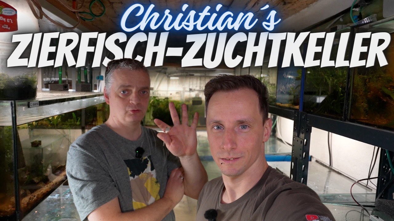 Christian´s Zierfisch-Zuchtkeller | Panzerwelse, Zwergbuntbarsche & mehr