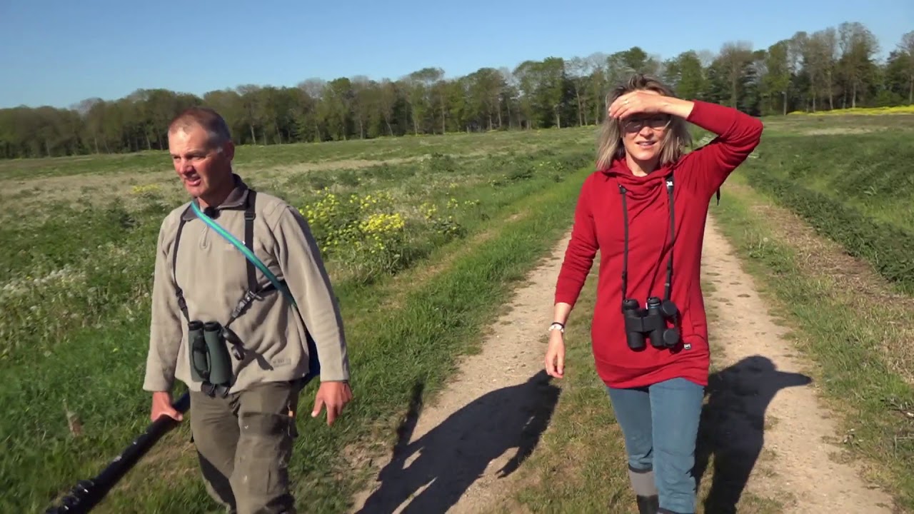 Roofvogels doen het goed in de Noordoostpolder | TV | Vroege Vogels