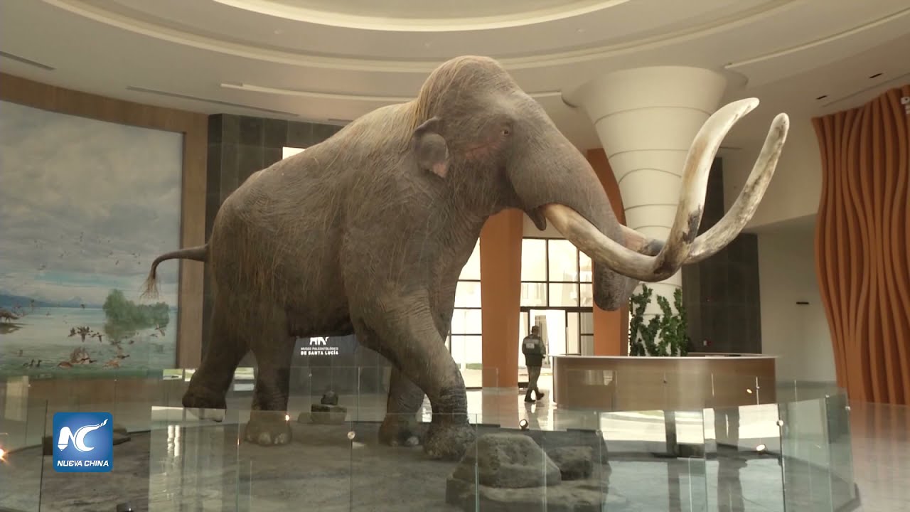 Museo del Mamut en el nuevo Aeropuerto de Santa Lucia, casi listo para abrir sus puertas