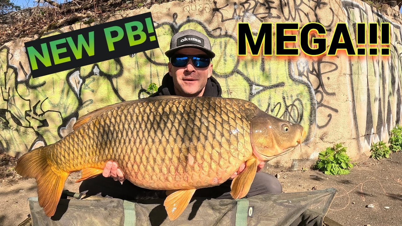 This Carp Bait is Prime! (Big Carp Fishing)
