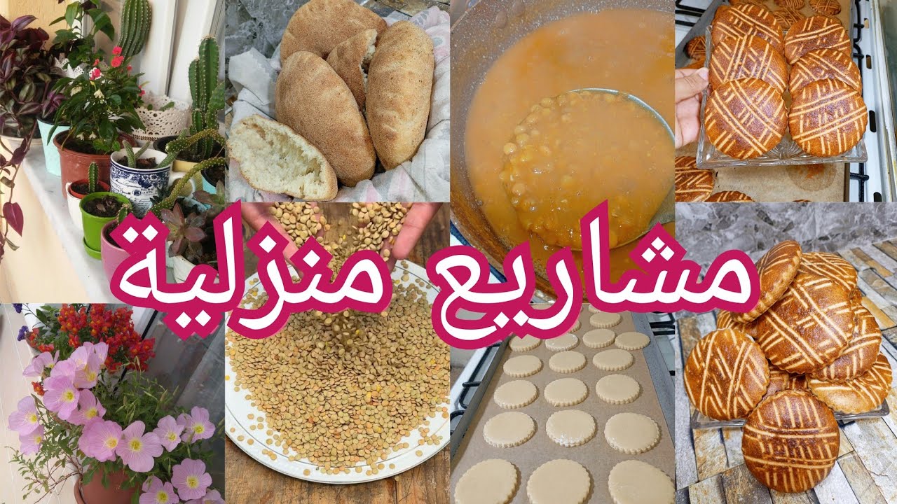 كروكي الڨالات مشروع منزلي🏠 جد مربح💲 لأي وحدة تحب تسترزق على روحها بمكونات جد إقتصادية وبزاف بنين