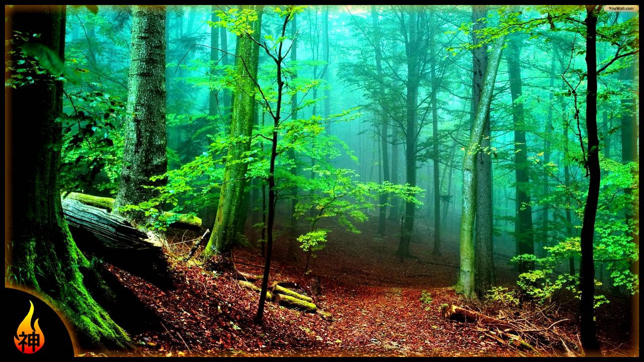 Relaxing Guitar Music | Western Woods | Beautiful Instrumental Guitar