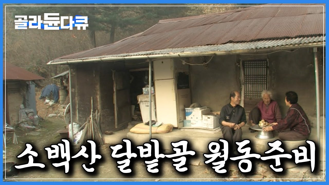 20년간 사람 발길 닿지 않은 소백산 ‘달밭골 마을’은 어떻게 긴 겨울나기를 준비할까｜한국기행｜#골라듄다큐