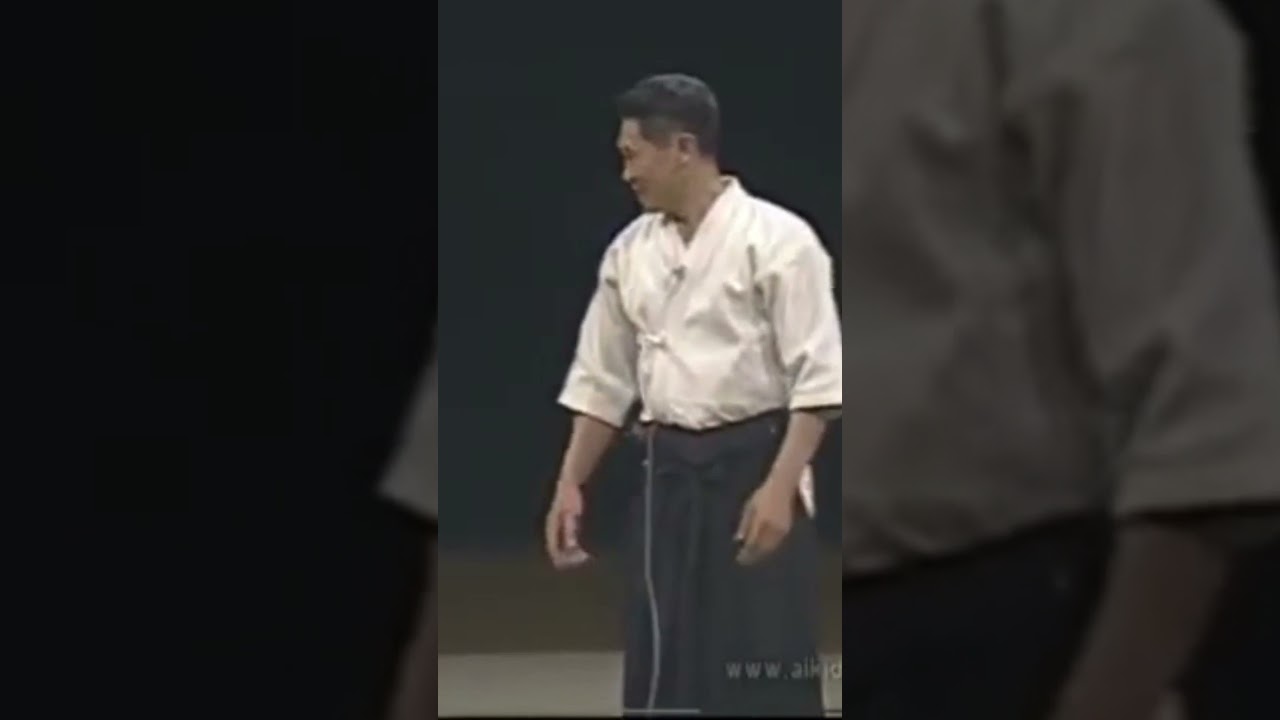 Artes Marciais - AIKIDO Shihonage - Shoji Nishio Sensei