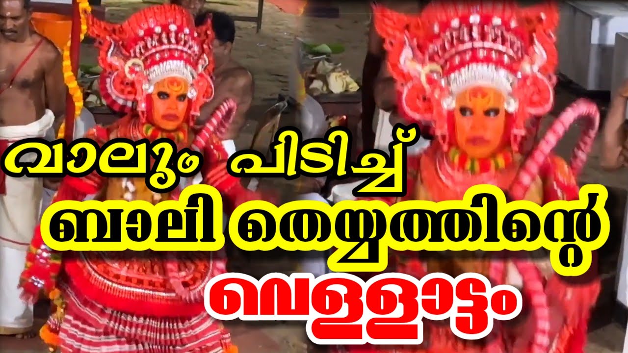 വാലും പിടിച്ച് കൊണ്ടുള്ള ബാലി തെയ്യത്തിന്റെ വെള്ളാട്ടം കണ്ടാലോ? | #theyyamkannur 