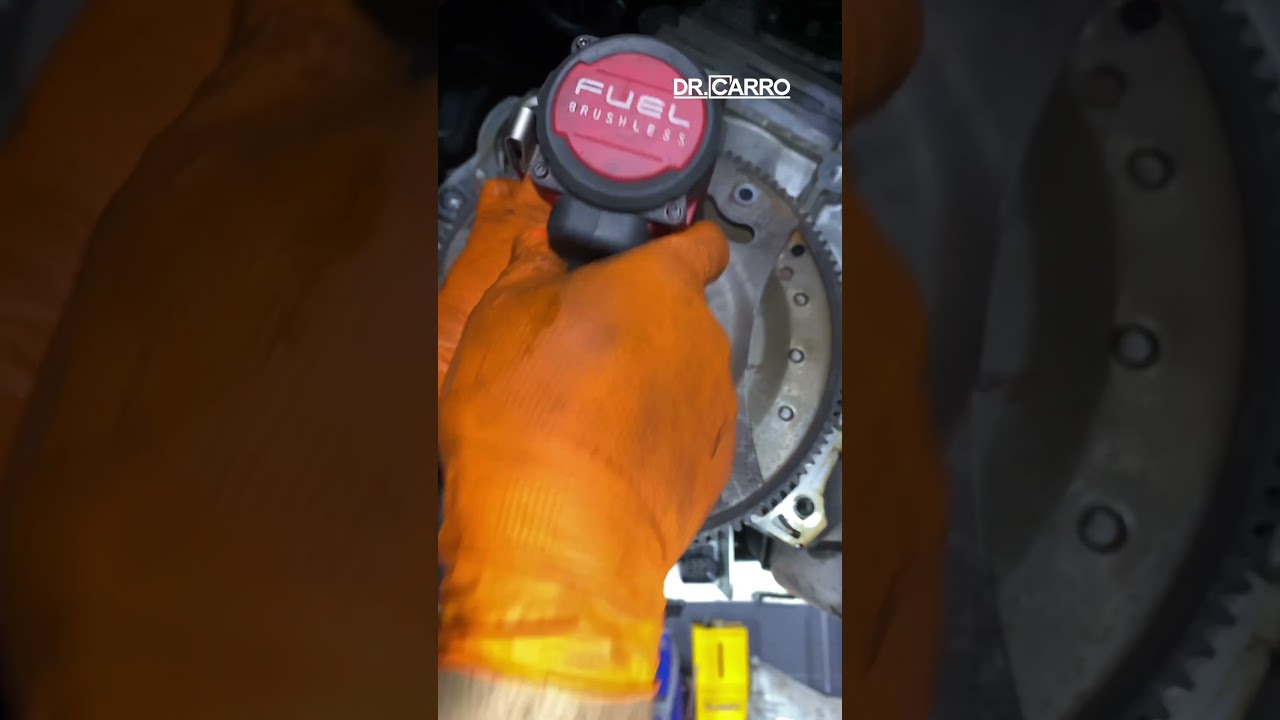 13 de dezembro de 2024