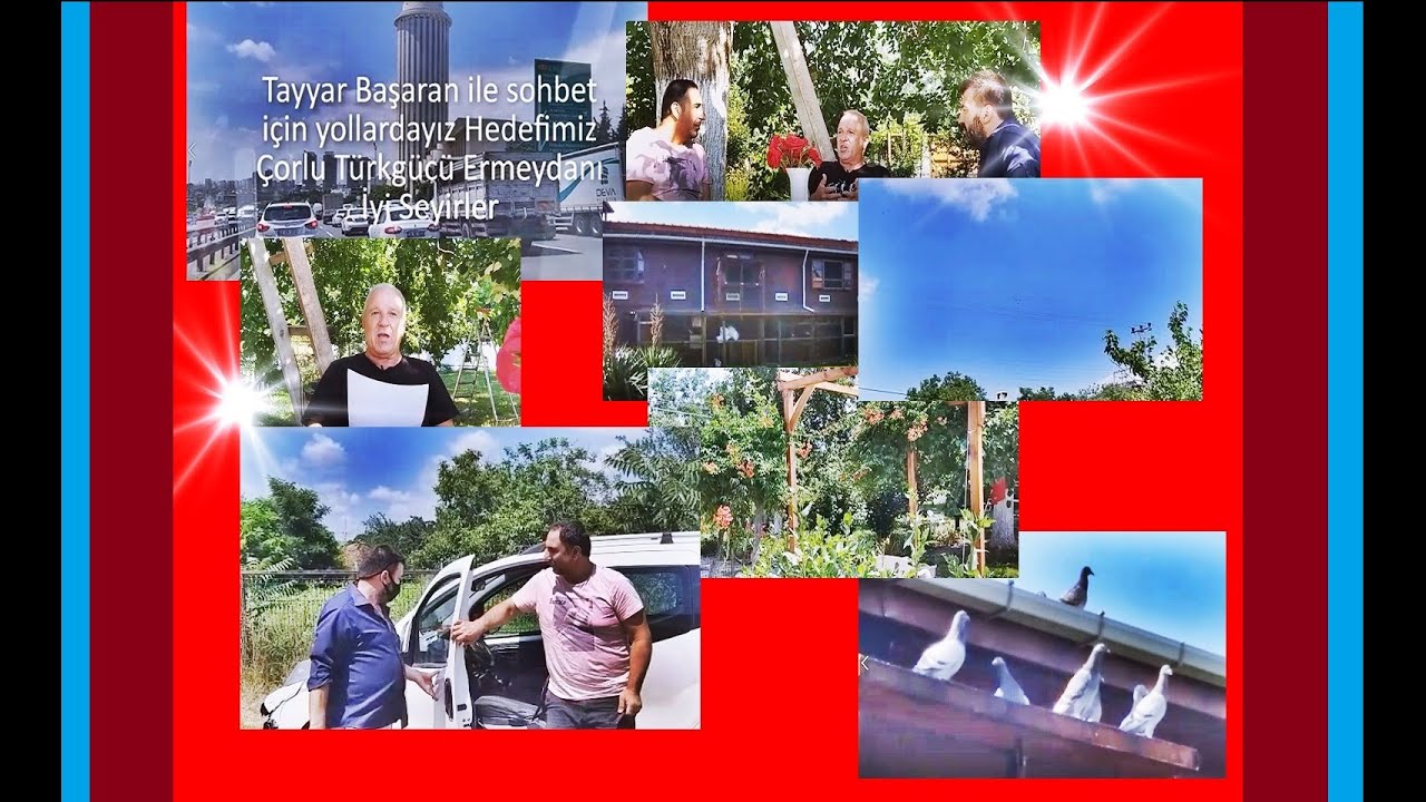 Tayyar Başaran ile posta güvercini hakkında merak edilenler bölüm 2