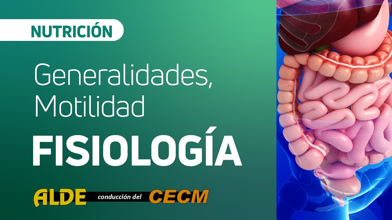 Fisiología: Generalidades, Motilidad - Seminario Teórico