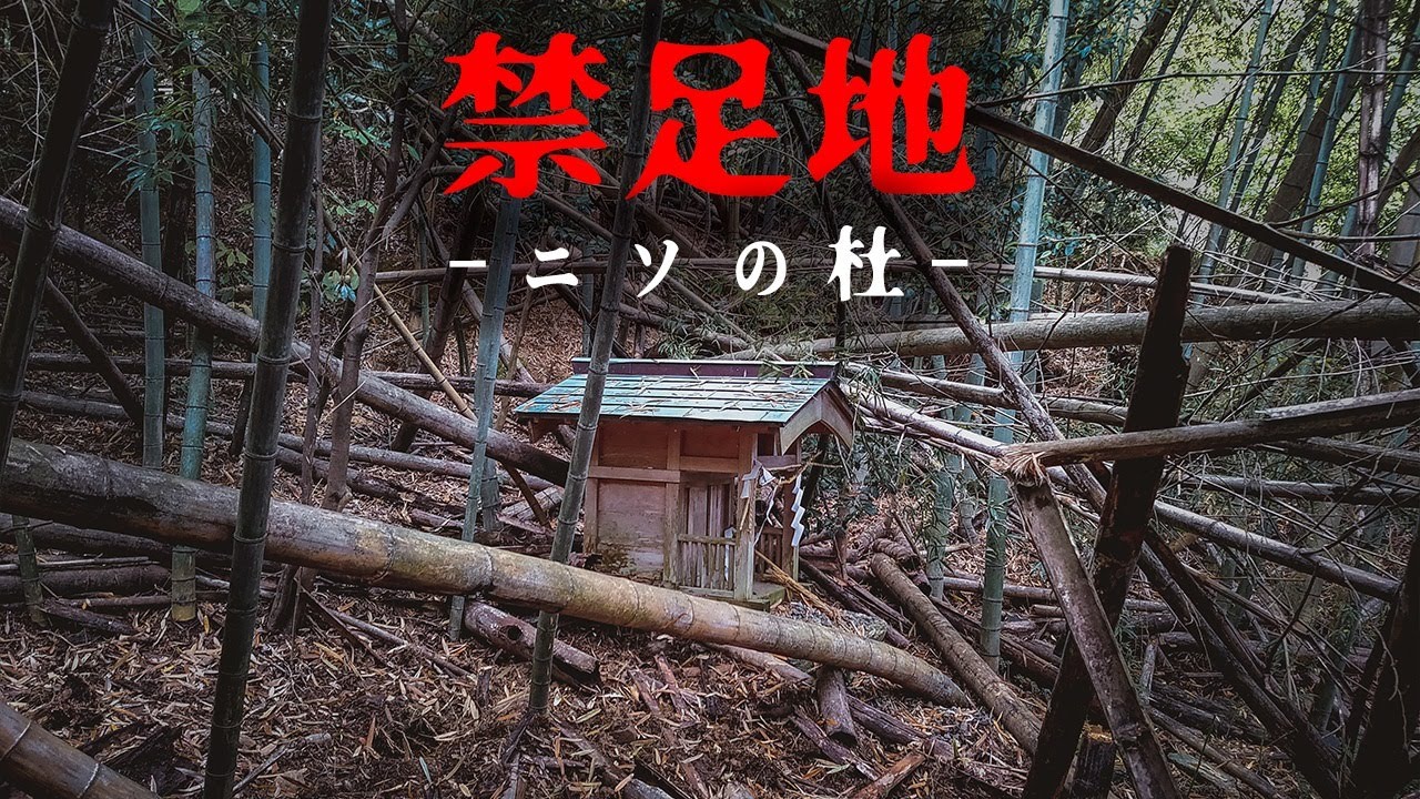 【禁足地探訪】ニソの杜 - 福井・大島半島に伝わる伝承と神霊が宿るタブーの杜が不思議な所でした