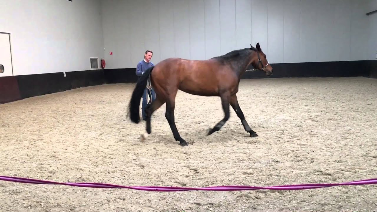 Demo Chris Irwin Nijkerk 1-4-2016