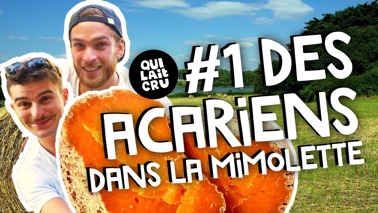 #1 Des Acariens dans la mimolette !