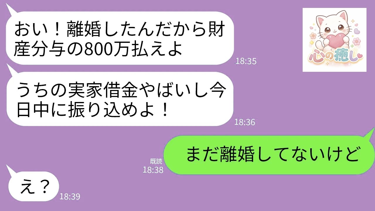 【LINE】10年間連れ添った夫と離婚が決定。夫「財産分与の800万はまだか？うちの実家の支払いがヤバいから早く振り込め！」私「まだ離婚してないよ？」→離婚やめて放置してたら義実家が終わったw