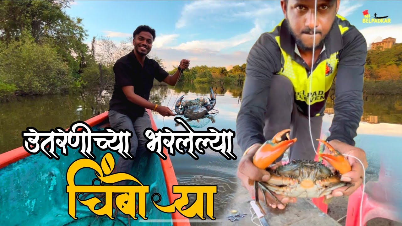 आगरावर भेटतात भरलेल्या चिंबोऱ्या | उतरणीच्या चिंबोऱ्या | Mangroves Mud Crab Catching, Chimbori, Crab