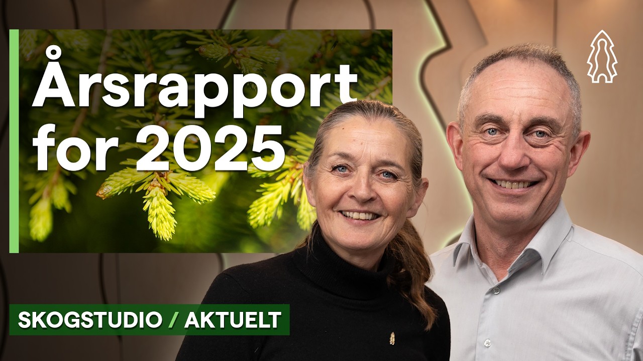 Årsrapport for 2025 fra Glommen Mjøsen Skog