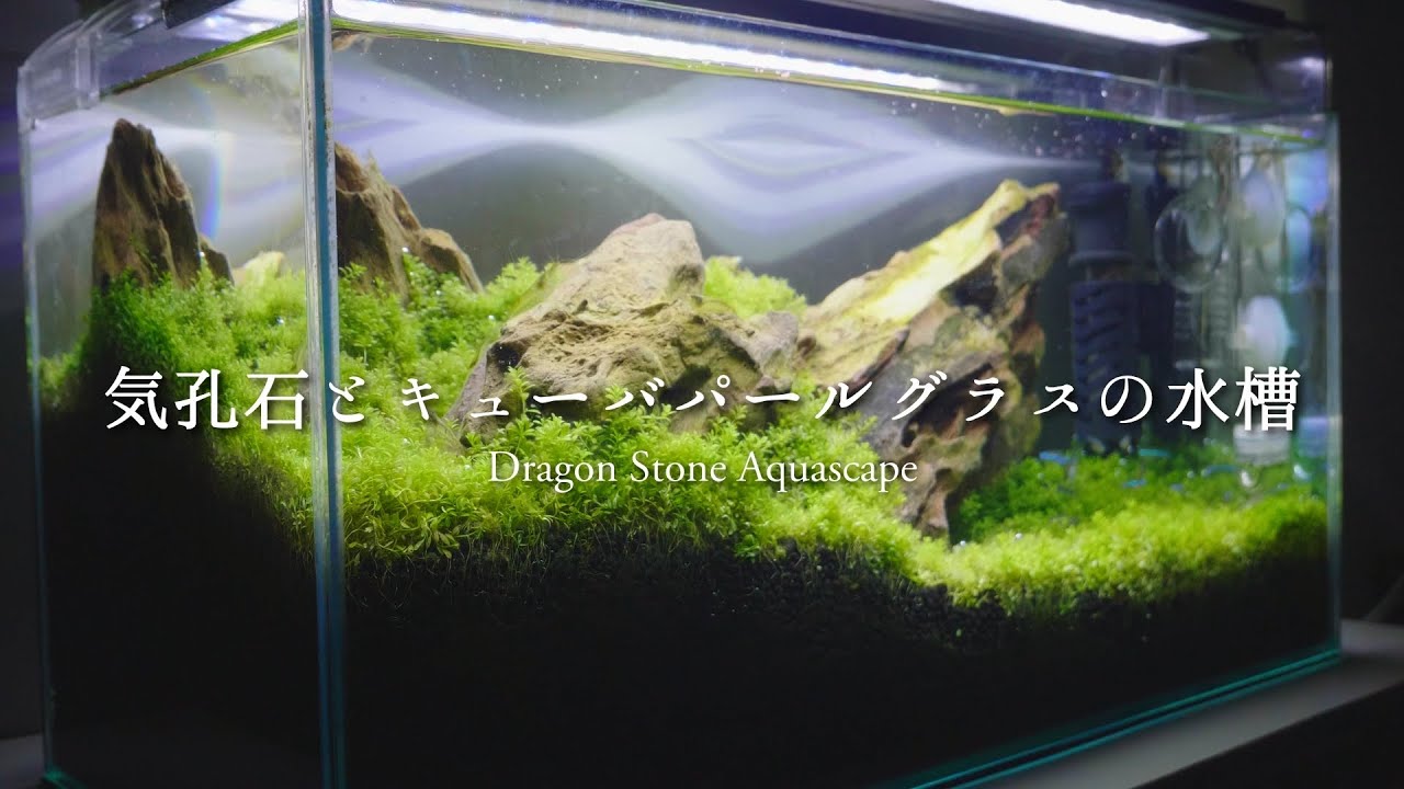 気孔石とキューバパールグラスのレイアウト水槽 / Dragon Stone Aquascape with Cuban pearl glass【水槽紹介】