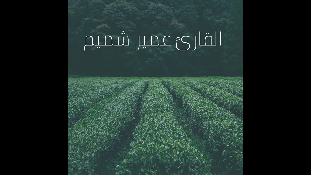القرآن الكريم - القارئ عمير شميم - اجمل تلاوة