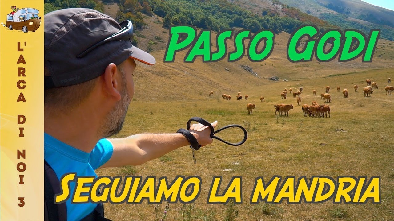 🚐 Viaggi in Camper 🇮🇹 🌍 - PASSO GODI - SCANNO (AQ) giorno 2 - Seguiamo la mandria 😅✌️