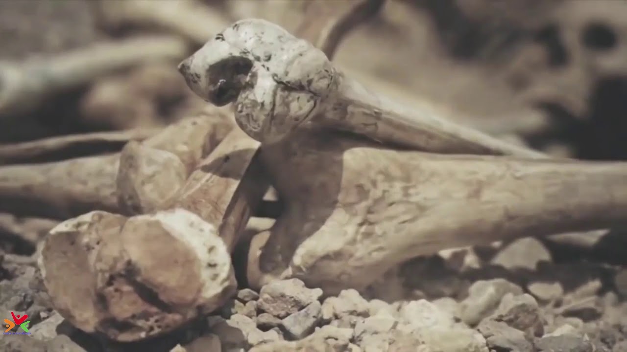 Son of man, can these bones live? Ezekiel 37