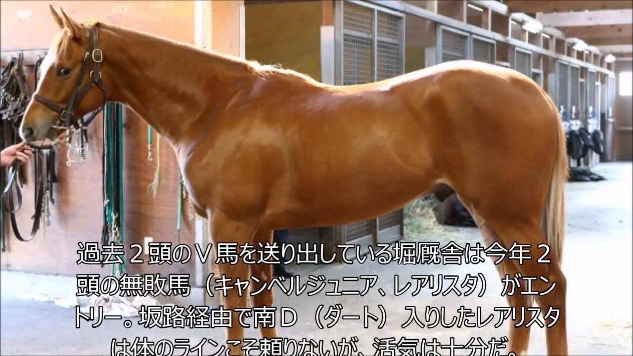 【ラジオNIKKEI賞2015 出走予定 注目馬】レアリスタ