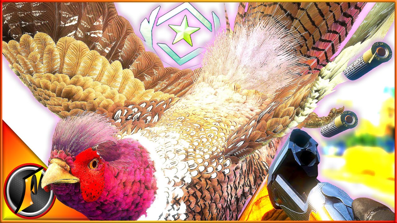 GREAT ONE Pheasant LIVE on Stream! | theHunter Call of the Wild