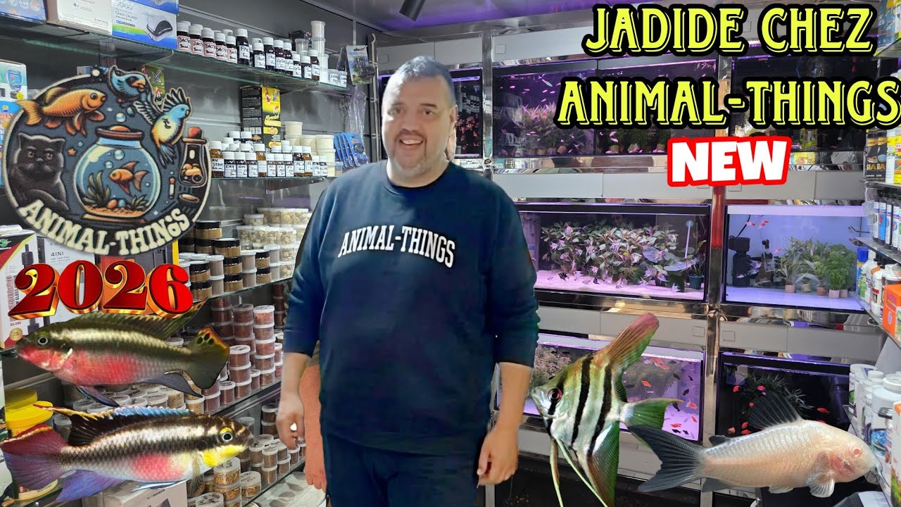الجديد عند🔥ANIMAL-THINGS🔥عشاق أسماك الزينة أجيو نتولعو فالجديد والجميل لوازم أكل الأسماك