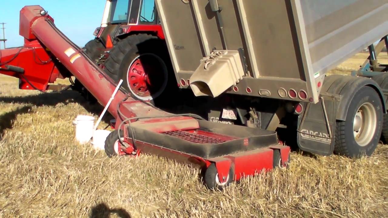 Unloading wheat into the bin