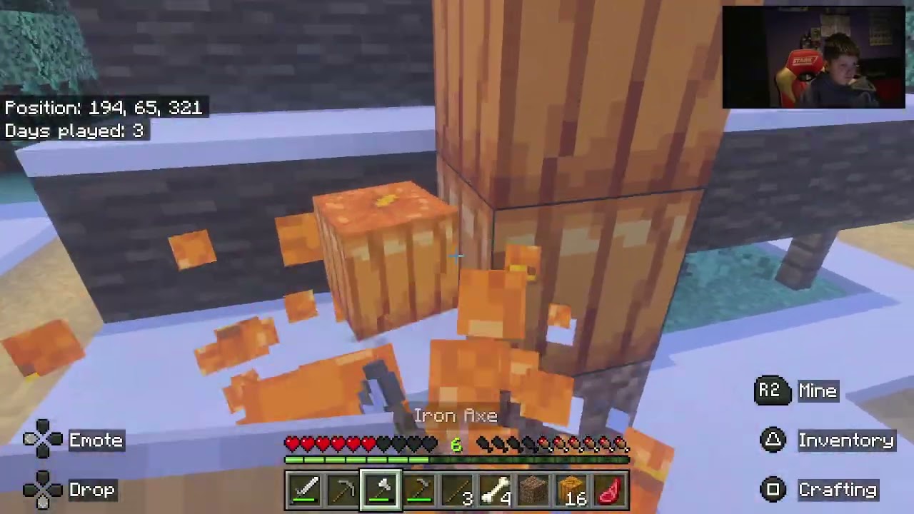 Minecraft Part 3