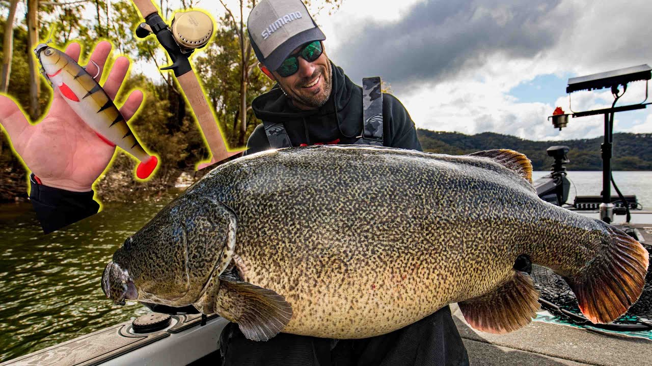 Giant Murray Cod Lures for Giant freshwater fish