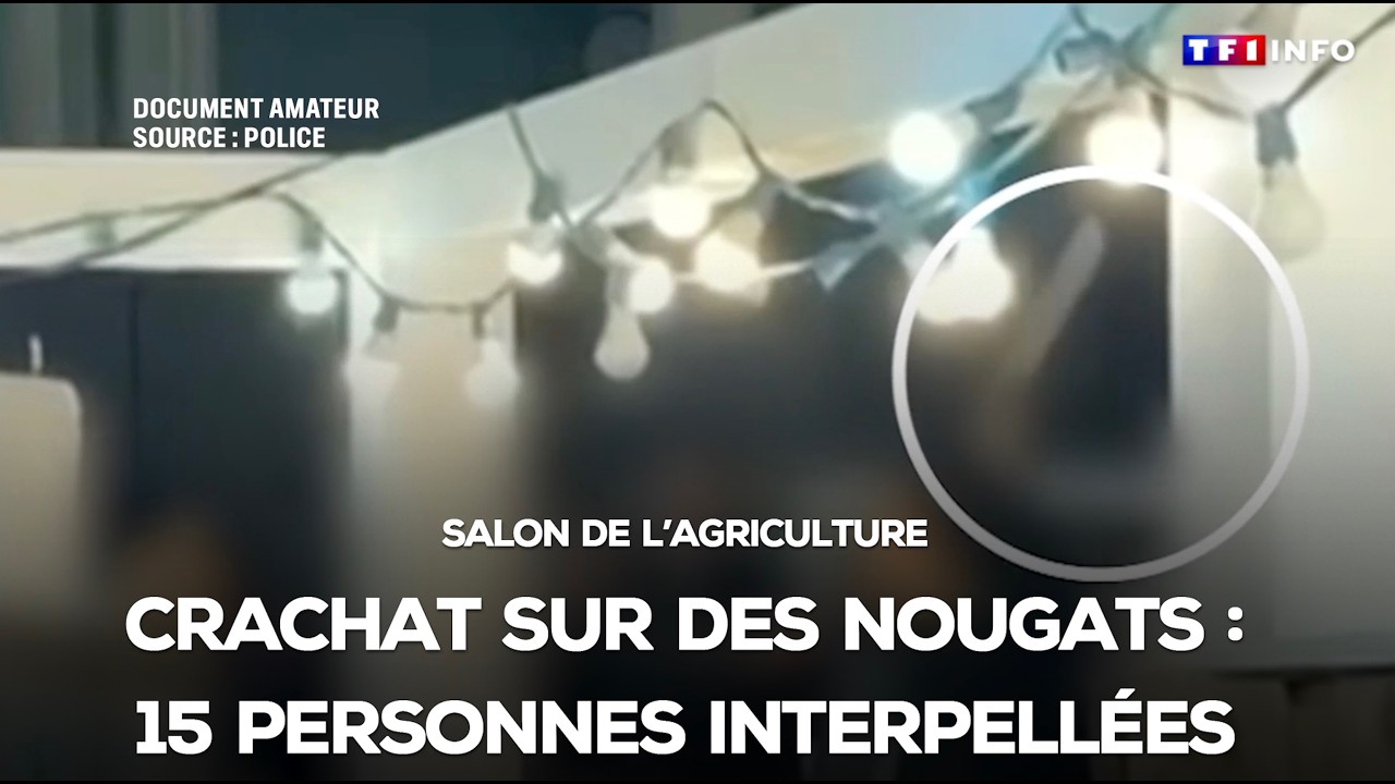 Crachat sur des nougats : couteau, coups... Que s'est-il passé au Salon de l'agriculture ?｜TF1 INFO