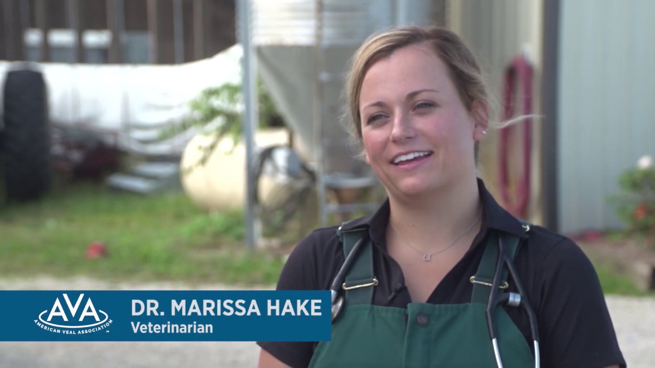 Meet America's Veal Farmers
